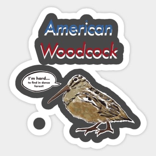 American Woodcock Sticker